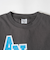 【USAコットン】ANDロゴカレッジワイドロンT