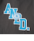 【USAコットン】ANDロゴカレッジワイドロンT