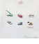 【TOMICA・ANIA】裾シャツ長袖Tシャツ