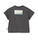 【WEB別注】【JAWS】接触冷感アソートグラフィック半袖Tシャツ