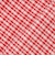 【POLO BCS/リンク】チェックワンピース