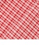 【POLO BCS/リンク】チェックワンピース