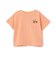 【WEB別注】【Penfield】接触冷感刺しゅう半袖Tシャツ