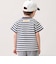 【WEB別注】【カンフーパンダ】ボーダー半袖Tシャツ