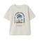 【綿100】【365D.】アソートビーチプリント半袖Tシャツ