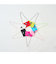 minimalカラーサコッシュ