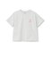 【綿100】プチプラグラフィックアソート半袖Tシャツ