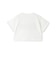 【綿100%】ロゴアソートクロップド半袖Tシャツ