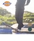Dickies(ディッキーズ)ダブルニーワークパンツ/スケーターパンツ/最も太いルーズシルエットモデル/14788800/ユニセックス/メンズ/レディース/ムラサキスポーツ