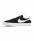 NIKESB(ナイキエスビー)Zoom Blazer Low Pro GT(ズーム ブレザー ロー)DC7695/シューズ/スニーカー/メンズ/ムラサキスポーツ