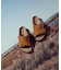 BIRKENSTOCK(ビルケンシュトック)レディース Zurich チューリッヒ  スエードレザー サンダル シューズ コンフォート 1023842/ムラサキスポーツ