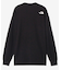 THENORTHFACE(ザ・ノースフェイス)長袖Tシャツ/ロンT/L/S Zoo Picker Tee/ロングスリーブ/NT32440/レディース/ムラサキスポーツ