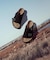 BIRKENSTOCK(ビルケンシュトック)レディース Zurich Suede チューリッヒ  コルク 細身シルエット幅 レザー サンダル シューズ コンフォート 1025060/ムラサキスポーツ