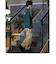 【ムラサキスポーツ限定】KEEN(キーン)吸汗速乾/ロンT/長袖Tシャツ/バックプリント/1030641/ユニセックス/メンズ/ムラサキスポーツ