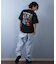 【ムラサキスポーツ限定】SANTACRUZ サンタクルーズ 半袖Tシャツ バックプリント 502252402/ユニセックス メンズ ムラサキスポーツ