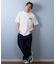 【ムラサキスポーツ限定】SANTACRUZ サンタクルーズ 半袖Tシャツ バックプリント 502252404/ユニセックス メンズ ムラサキスポーツ