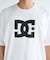 DC(ディーシー)半袖Tシャツ フロントロゴ オーバーサイズ DST251094/ユニセックス メンズ ムラサキスポーツ