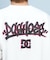 DC(ディーシー)半袖Tシャツ バックプリント ルーズシルエット 25 GRAFFITTI SS DST251097/ユニセックス メンズ ムラサキスポーツ