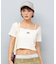 DC(ディーシー)半袖 Tシャツ スクエアネック リブ素材 クロップド丈 ショート丈 ロゴ セットアップ対応 LST252306/レディース ムラサキスポーツ