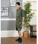 Hurley(ハーレー)半袖シャツ セットアップ対応 MCWV251037 /メンズ ムラサキスポーツ
