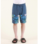 QUIKSILVER(クイックシルバー)水着 ボードショーツ サーフパンツ 水陸両用 DIVISION VOLLEY 20NB QBS252005/メンズ ムラサキスポーツ