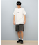 QUIKSILVER(クイックシルバー)半袖Tシャツ バックプリント QST252013/メンズ ムラサキスポーツ