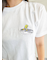 GTO(ジーティーオー)半袖Tシャツ トゥイーティー Tweety Bird ワーナー・ブラザース 25-WB-MS-LADY06/レディース ムラサキスポーツ