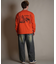 【限定】DEAR LAUREL(ディアローレル)長袖 Tシャツ ロンT バックプリント SURF GARDEN LONG SLEEVE T D25F-2201/メンズ ムラサキスポーツ限定