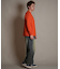 【限定】DEAR LAUREL(ディアローレル)長袖 Tシャツ ロンT バックプリント SURF GARDEN LONG SLEEVE T D25F-2201/メンズ ムラサキスポーツ限定