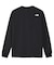 THE NORTH FACE(ザ・ノースフェイス)ロングスリーブフリーラングラフィッククルー NT62593 長袖Tシャツ/ユニセックス レディース ムラサキスポーツ