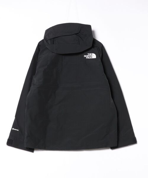 THE NORTH FACE/GORE-TEX マウンテンジャケット NP62510 防水