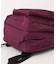 【日本限定】JANSPORT(ジャンスポーツ)34L バックパック BIG CAMPUS ビッグキャンパス RUSSET RED JS0A86EH04S/デイパック リュック ユニセックス メンズ レディース ムラサキスポーツ
