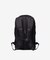 THE NORTH FACE(ザ・ノースフェイス)26L ジェスター NM82462/バックパック デイパック リュック/ユニセックス ムラサキスポーツ
