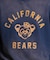 【限定】DEARLAUREL/トレーナー クルーネック スウェット 裏毛 カレッジロゴ風 ヴィンテージ加工 Vintage Crew D25F-11 ディアローレル メンズ ムラサキスポーツ限定