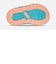 TEVA/キッズ 14.0～17.0cm 1177410T HURRICANE XLT JR ハリケーン エックスエルティ ジュニア サンダル テバ 男の子 女の子 ムラサキスポーツ