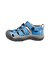 KEEN/15.0～19.5cm 1032139 NEWPORT H2 ニューポート エイチツー 水陸両用 キーン キッズ サンダル シューズ アウトドア ムラサキスポーツ