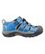 KEEN/15.0～19.5cm 1032139 NEWPORT H2 ニューポート エイチツー 水陸両用 キーン キッズ サンダル シューズ アウトドア ムラサキスポーツ