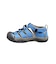KEEN/20.0～22.0cm 1032146 NEWPORT H2 ニューポート エイチツー 水陸両用 キーン キッズ サンダル シューズ アウトドア ムラサキスポーツ
