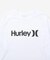 Hurley/水着 MSRG261048 ラッシュガード 長袖 Tシャツ ロンT UVカット 撥水 速乾 遮熱 水陸両用 ハーレー メンズ ムラサキスポーツ