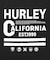 Hurley/水着 MUSS261045 ラッシュガード 半袖 Tシャツ 耐久 ストレッチ 水陸両用 ハーレー メンズ ムラサキスポーツ