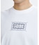 RVCA/BG04A204 半袖 Tシャツ バックプリント EXOTIC BOX TEE ルーカ メンズ ムラサキスポーツ