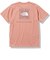 THE NORTH FACE ノースフェイス S/S Bandana Square Logo Teeショートスリーブバンダナスクエアロゴティー NTW32108 ﾚﾃﾞｨｰｽ