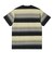 Carhartt カーハート S/S HANMORE T-SHIRT I030123