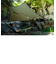 ENO (ｲｰﾉ)  PROFLY SIL NYL RAIN TARP