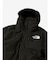 THE NORTH FACE (ﾉｰｽﾌｪｲｽ) Firefly Insulated Parka (ﾌｧｲﾔｰﾌﾗｲｲﾝｻﾚｰﾃｯﾄﾞﾊﾟｰｶｰ) NY82231