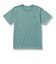 THE NORTH FACE(ﾉｰｽﾌｪｲｽ) - S/S WALLS MANIFEST TEE(ｼｮｰﾄｽﾘｰﾌﾞｳｫｰﾙｽﾞﾏﾆﾌｪｽﾄﾃｨｰ) NT32379