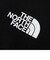 THE NORTH FACE(ﾉｰｽﾌｪｲｽ) - S/S HALFDOME WINDOW TEE(ｼｮｰﾄｽﾘｰﾌﾞﾊｰﾌﾄﾞｰﾑﾃｨｰ) NT32337