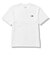 THE NORTH FACE(ﾉｰｽﾌｪｲｽ) - S/S ENTRANCE PERMISSION TEE(ｼｮｰﾄｽﾘｰﾌﾞｴﾝﾄﾗﾝｽﾊﾟｰﾐｯｼｮﾝﾃｨｰ) NT32340