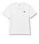 THE NORTH FACE(ﾉｰｽﾌｪｲｽ) - S/S ENTRANCE PERMISSION TEE(ｼｮｰﾄｽﾘｰﾌﾞｴﾝﾄﾗﾝｽﾊﾟｰﾐｯｼｮﾝﾃｨｰ) NT32340