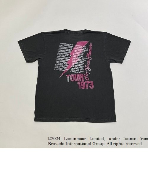 GOOD ROCK SPEED (グッドロックスピード) - Roxy Music Tee